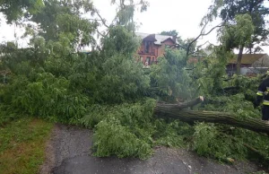 Niszczycielskie burze i wichury nad Wielkopolską, mnóstwo szkód...[ZDJĘCIA]