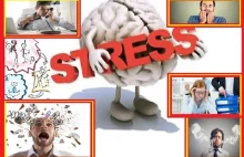 Stres jak działa jak sie pozbyć, stresu jak walczyć ze stresem