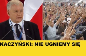 Kaczyński: Żadnych imigrantów. Nie ugniemy się