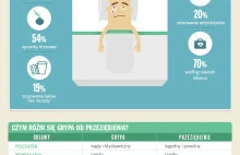 Grypa: Co Polacy o niej wiedzą? [Infografika]