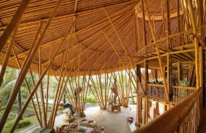 Co można zbudować z bambusa