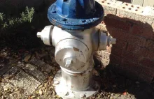 Masz niepotrzebny hydrant?