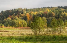 Główny Szlak Świętokrzyski – jedne z najstarszych gór w Europie