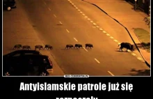 Antyislamskie patrole już się rozpoczęły