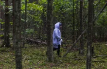 Bloger zaginął w lesie. Kręcił film o tym, jak nie zaginąć w lesie.