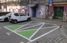 „Zielone koperty” nie są znakami, więc mogą parkować na nich wszystkie samochody