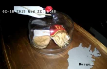 Dlaczego hamburgery z McDonald’sa nie pleśnieją?