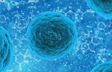 Komórki macierzyste przyspieszają rozwój medycyny