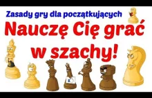 Zasady gry w szachy. Podstawy dla początkujących.