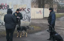 Brawurowa akcja policji i straży miejskiej w Bydgoszczy