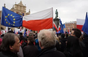 Polityk PO broni demokracji, ale nie rezygnuje z konfliktu interesów....