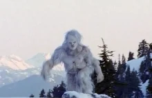 Yeti – Człowiek Śniegu