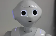 Miłość między człowiekiem a robotem jest możliwa - tak uważa co piąty Niemiec