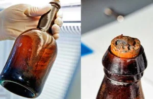 Jak smakują 170-letnie piwa odkryte na zatopionym statku na dnie Bałtyku?