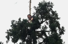 Od ponad 17 godzin siedzi na drzewie. Dziwaczna scena w Seattle (video) -...