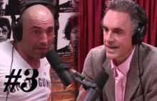 Równość, a dyskryminacja - Joe Rogan & Jordan B Peterson