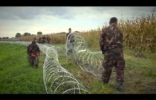 Węgrzy wzmacniają granicę
