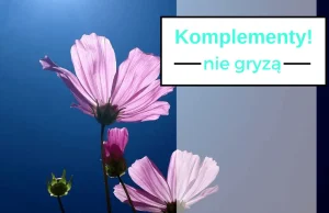 Komplementy nie gryzą! Jak nie przyjmować komplementów?