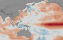 El Niño doprowadziło w latach 2015-16 do wzrostu liczby epidemii na świecie