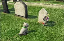 GTA V uczciło pamięć psa, który przez 14 lat czuwał nad grobem swojego pana