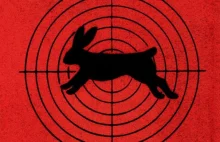 Bad Rabbit już na Ukrainie - szyfruje wszystko po kolei