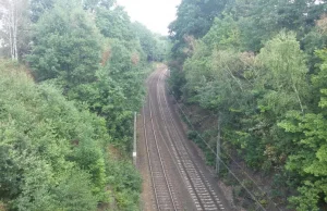 Niemka zgłasza podziemia Wałbrzycha. Chce też znaleźnego!