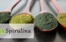 Nie każda Spirulina to Spirulina