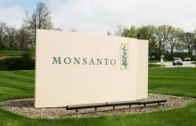 Monsanto wytoczono proces w Hadze za "zbrodnie przeciwko ludzkości i środowisku"
