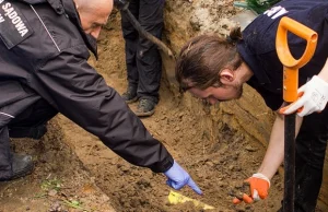 Policja wstrzymuje ekshumacje Niezłomnych na Służewie