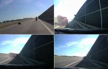 Pies na autostradzie A2. Auto koziołkowało.