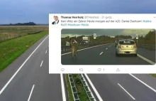 Zebra wbiegła na autostradę i spowodowała wypadek. W Niemczech