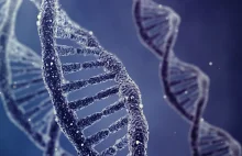 Leczenie za pomocą "edycji" genów człowieka do 2017 roku?