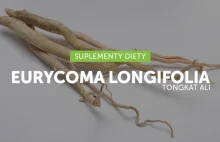Eurycoma longifolia – naturalny booster testosteronu