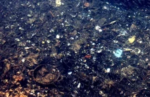 Wyspa śmieci na Pacyfiku jest już 5 razy większa od Polski