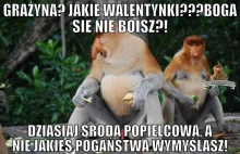 Janusz w walentynki :)