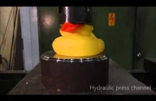 Słodka, gumowa kaczuszka zgniatana przez prasę hydrauliczną