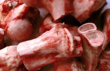 Prawdziwi kanibale opisują smak ludzkiego mięsa
