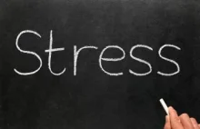 Co robić, kiedy nie radzimy sobie ze stresem? Metoda TRE