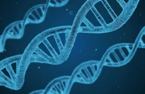 Praca w nocy wywołuje więcej błędów w DNA