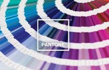 Infografika Pantone - Celebrate Color