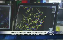 Naukowcy z UVa rozwiązali strukturę przestrzenną istotnego białka wirusa eboli