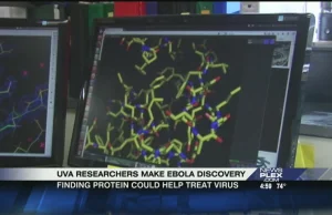 Naukowcy z UVa rozwiązali strukturę przestrzenną istotnego białka wirusa eboli