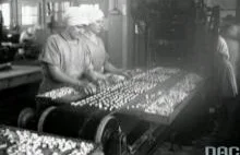 Historia czekolady: znak bogactwa i zaczątek rewolucji