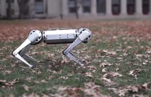 Ten robot to najlepsze co dziś zobaczycie - MIT Mini Cheetah robi wrażenie.