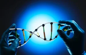Odkryto kolejny, kluczowy element replikacji ludzkiego DNA