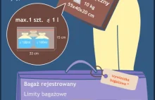 Bagaż w samolocie [infografika]