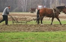 Fatalny stan polskiego rolnictwa
