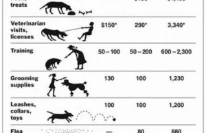 ile naprawdę kosztuje Cię pies ?
