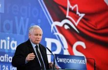 Kaczyński zaatakował ludowców. Obiecał zachodni poziom życia i więcej...