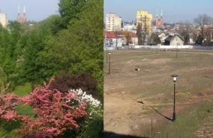 Skandal w Rybniku wycięli w pień cały park. Zamiast drzew centrum handlowe